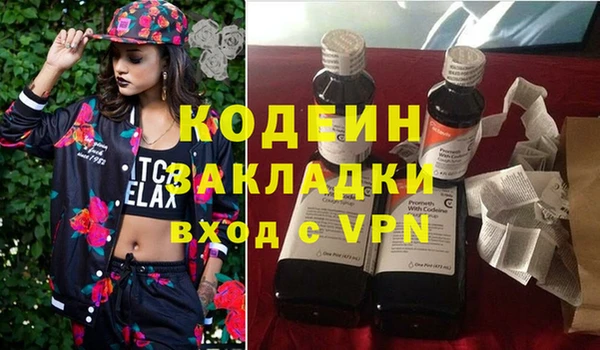 шишки Медвежьегорск