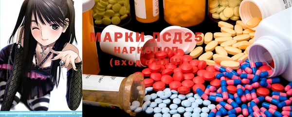 мяу мяу мука Горно-Алтайск