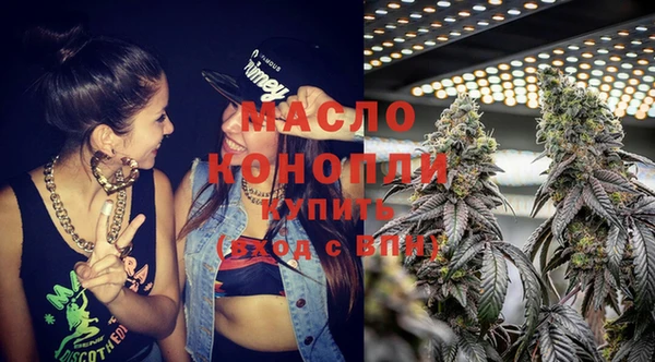 шишки Медвежьегорск