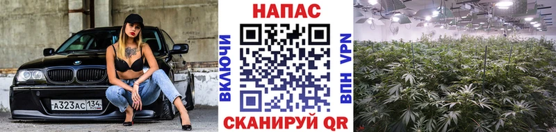 это формула  Нея  Шишки марихуана марихуана 